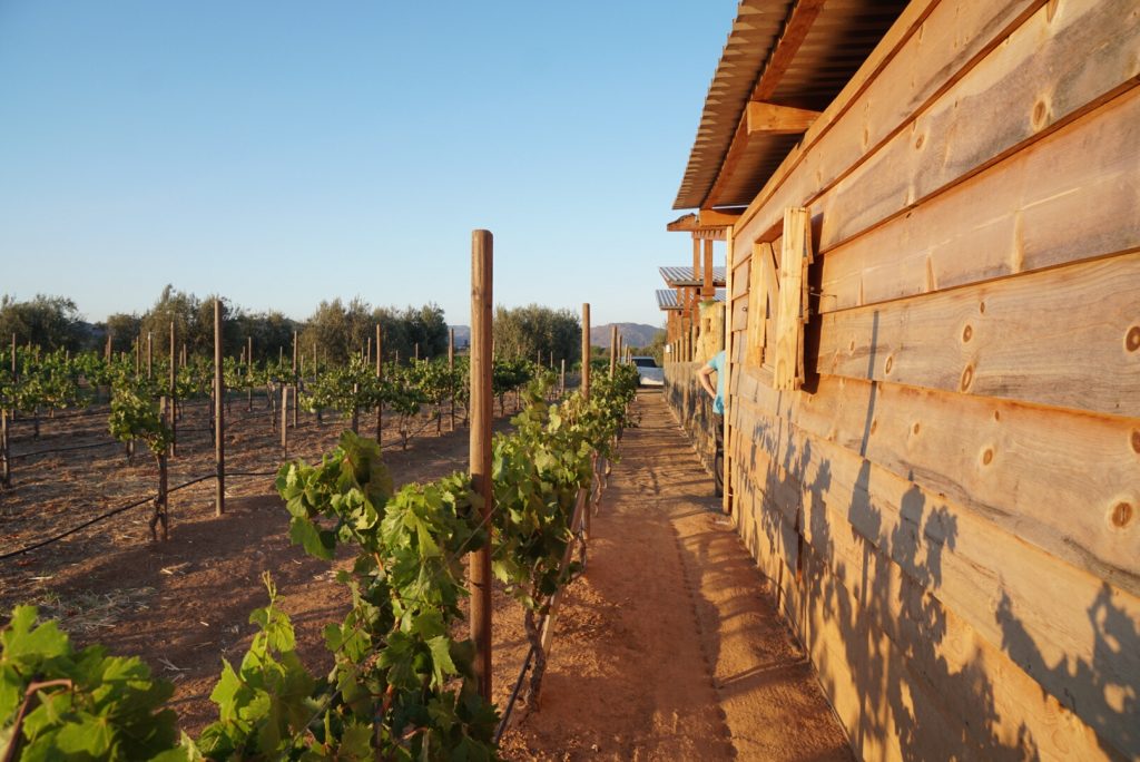 Finca La Carrodilla, Ensenada, Mexico