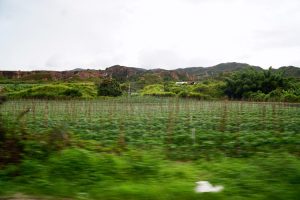 Los Estoraques National Park, Colombia