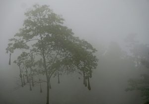 Northern Colombia
