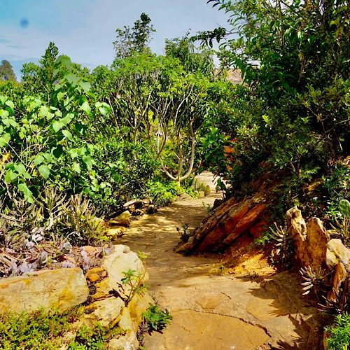 La Mojarra, Colombia La Mojarra, Colombia